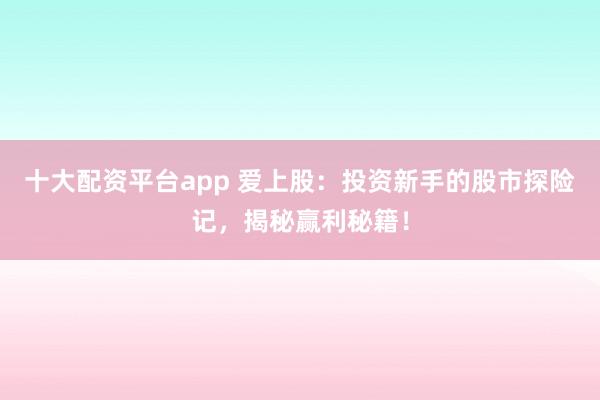 十大配资平台app 爱上股：投资新手的股市探险记，揭秘赢利秘籍！