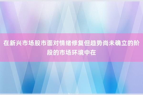 在新兴市场股市面对情绪修复但趋势尚未确立的阶段的市场环境中在