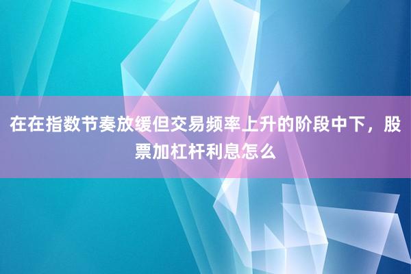 在在指数节奏放缓但交易频率上升的阶段中下,股票加杠杆利息怎么