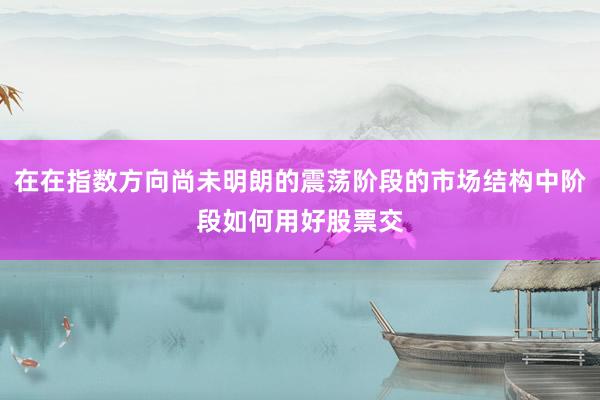 在在指数方向尚未明朗的震荡阶段的市场结构中阶段如何用好股票交