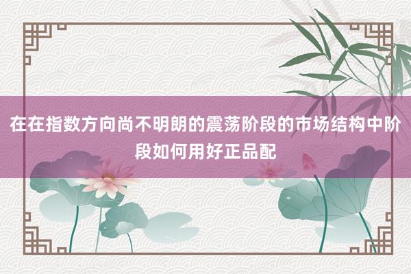 在在指数方向尚不明朗的震荡阶段的市场结构中阶段如何用好正品配