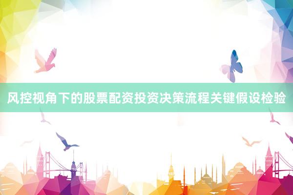 风控视角下的股票配资投资决策流程关键假设检验