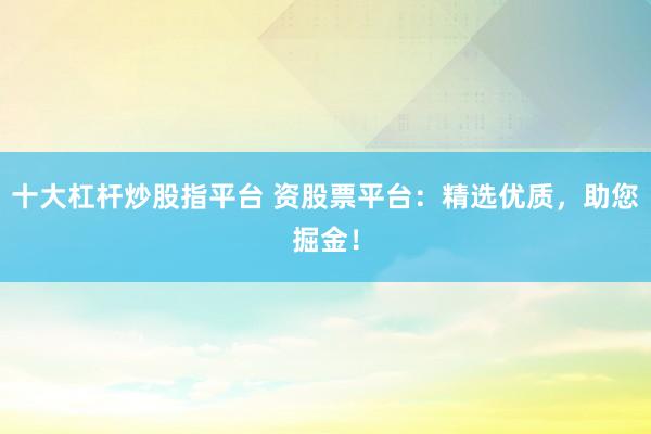 十大杠杆炒股指平台 资股票平台：精选优质，助您掘金！