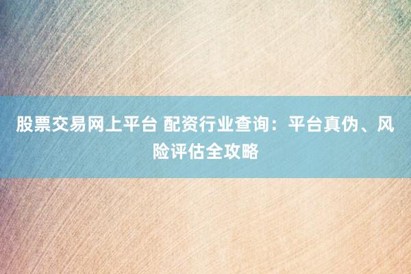 股票交易网上平台 配资行业查询：平台真伪、风险评估全攻略