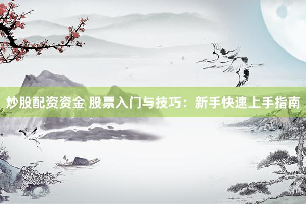 炒股配资资金 股票入门与技巧：新手快速上手指南