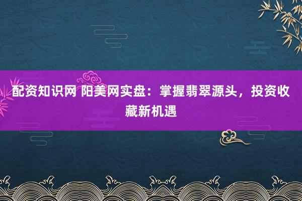 配资知识网 阳美网实盘：掌握翡翠源头，投资收藏新机遇