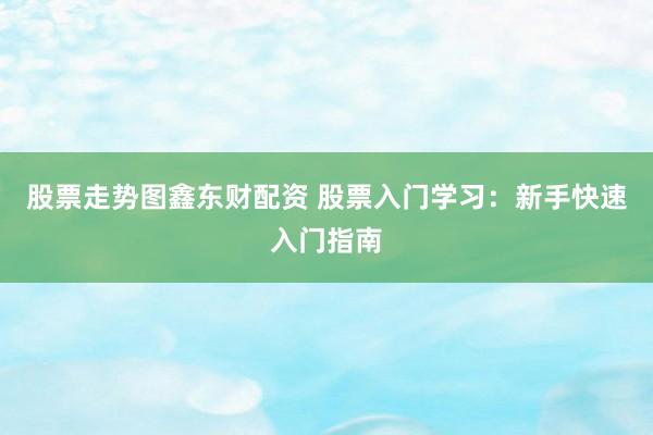 股票走势图鑫东财配资 股票入门学习：新手快速入门指南